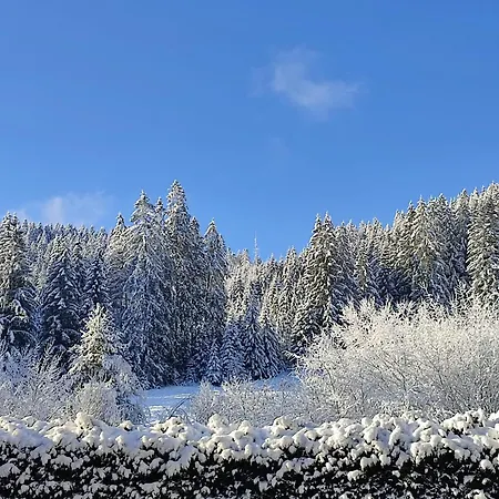 Waldstuebchen Apartman *