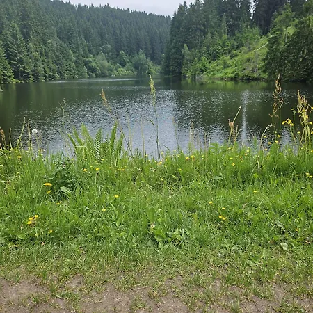 Waldstuebchen דירה *