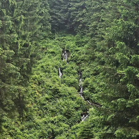 Waldstuebchen * וילדמן